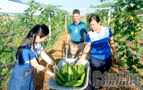 Trường Đại học Y Dược Cần Thơ khánh thành vườn rau sạch gần 5.000m2