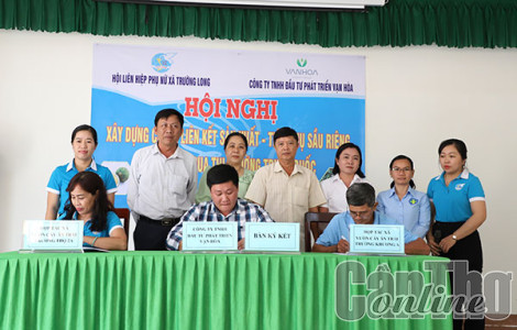 Thúc đẩy liên kết sản xuất và tiêu thụ sầu riêng