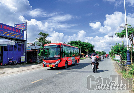 Xây dựng xe buýt Cần Thơ văn minh, hiện đại