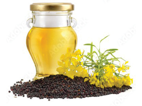 Chăm sóc sức khỏe mùa lạnh với dầu mù tạt
