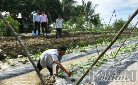 Hiệu quả chương trình chính sách tín dụng giải quyết việc làm