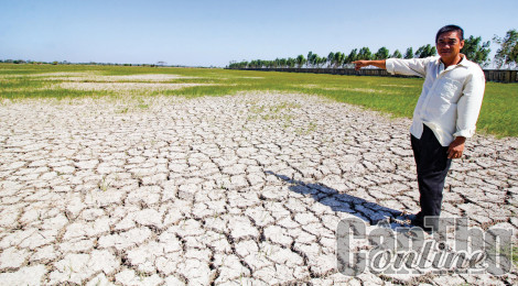 Quản lý, sử dụng hiệu quả tài nguyên đất ĐBSCL từ các công nghệ mới