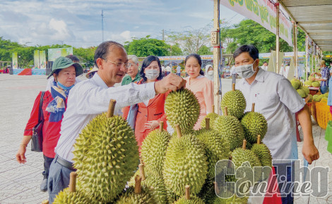 Phong Điền đẩy mạnh đổi mới sáng tạo, ứng dụng khoa học, công nghệ