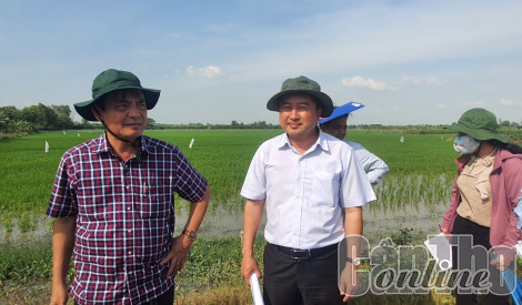 Khảo sát tình hình trật tự, an toàn giao thông tại các nút giao thông ở huyện Thới Lai