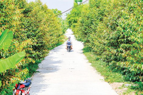 Hơn 306 tỉ đồng đầu tư xây dựng giao thông nông thôn