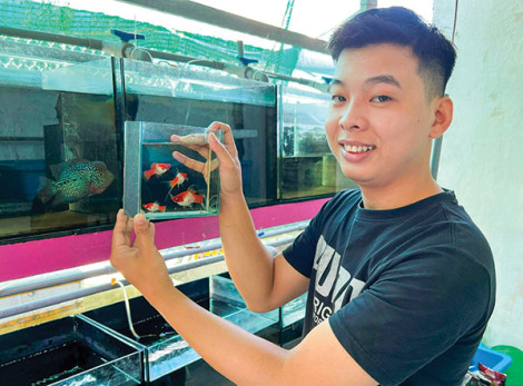 Khởi nghiệp với mô hình nuôi cá kiểng