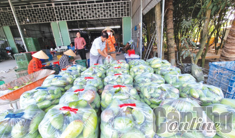 Để gắn kết giữa sản xuất và tiêu thụ nông sản