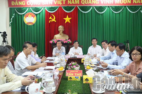 Triển khai hiệu quả các chính sách phát triển vùng đồng bào dân tộc thiểu số và miền núi