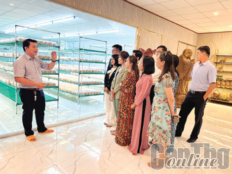 Hợp tác xã mở hướng kinh doanh mới