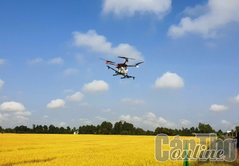 Xây dựng chuỗi nông nghiệp thông minh từ nông trại đến bàn ăn