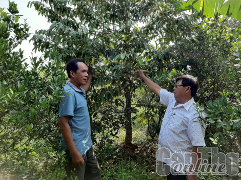 Chung sức xây dựng nông thôn mới kiểu mẫu