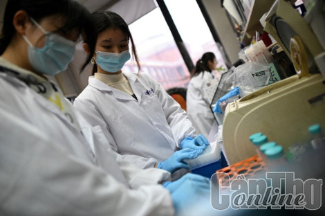 Kế hoạch “Ngàn nhân tài” của Trung Quốc gặp khó