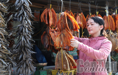 Rộn ràng mùa Tết