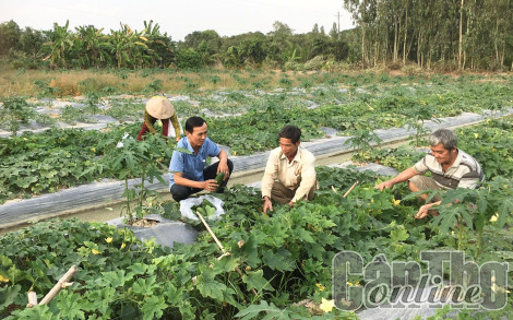 Hợp tác tạo việc làm, tăng thu nhập  