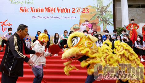 Rộn ràng mừng Xuân