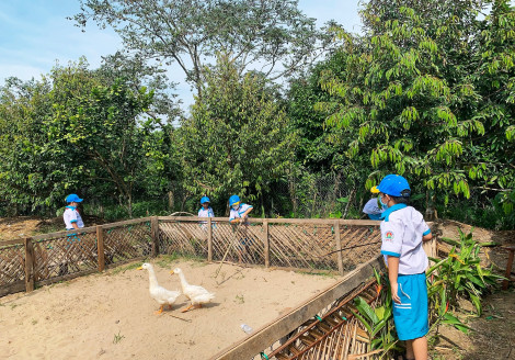Vé đi về tuổi thơ tại Một thoáng Nam Bộ
