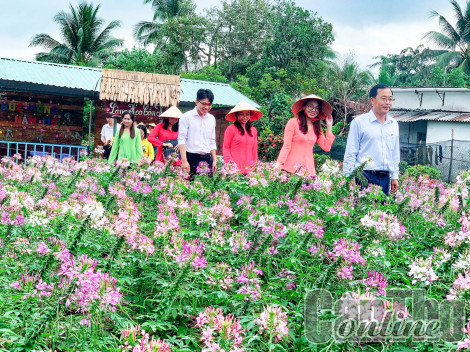 Khảo sát các điểm du lịch Cần Thơ