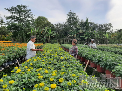 Nhiều giải pháp giúp nhân dân nâng cao đời sống