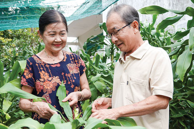 Phát tài trổ bông