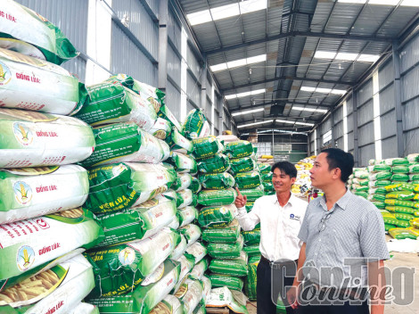 Bắt nhịp số hóa