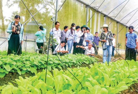 Du lịch đất Chín Rồng mở lối đi mới