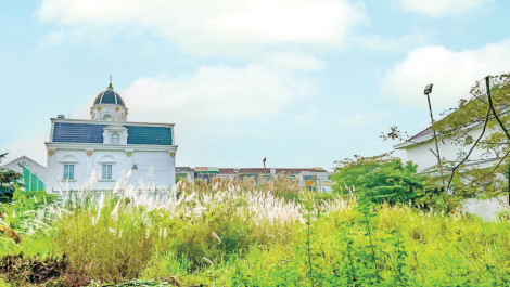 Một mẩu tin nhắn