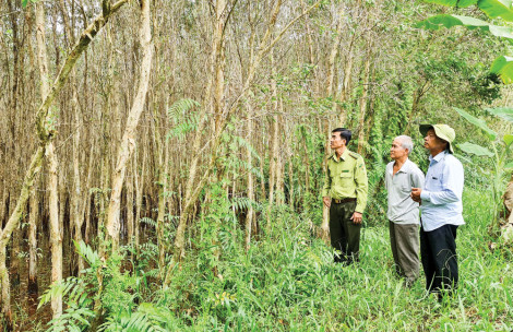 Những “người rừng” ở U Minh Hạ