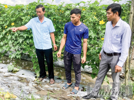 Thêm những niềm vui