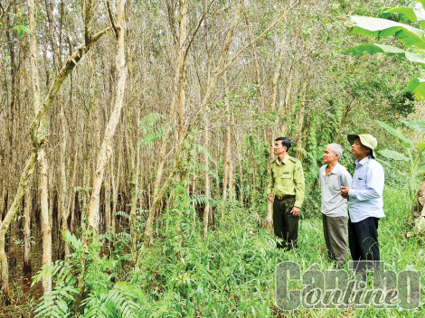 Những “người rừng” ở U Minh Hạ