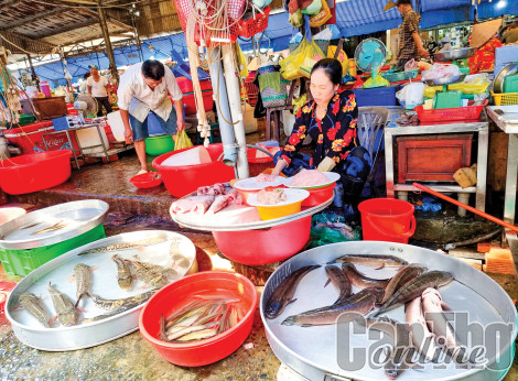 Nguồn cung dồi dào, giá giảm