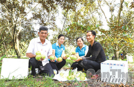 Giúp nhau làm kinh tế