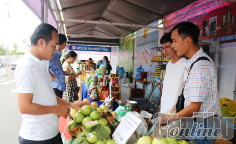 Phấn đấu có trên 60% hợp tác xã hoạt động hiệu quả năm 2023