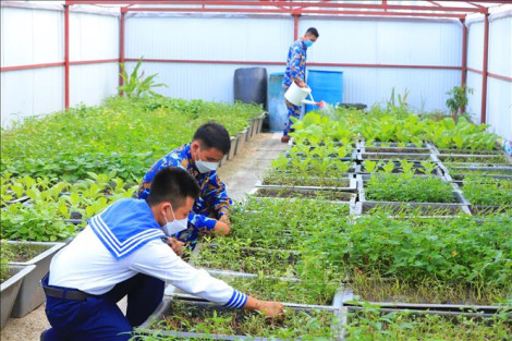 "Xanh hóa" và ước mong gần với đất liền của huyện đảo Trường Sa