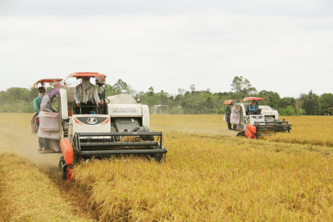 Nhiều giải pháp phát triển “tam nông” hiệu quả, bền vững