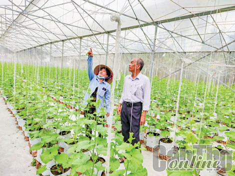 Nhiều "dư địa" cho phát triển nông nghiệp