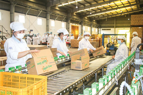 10.800 doanh nghiệp thành lập mới trong tháng đầu năm 2023