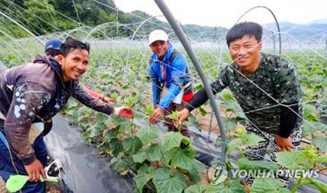 Hàn Quốc - thị trường xuất khẩu lao động nhiều tiềm năng của Việt Nam
