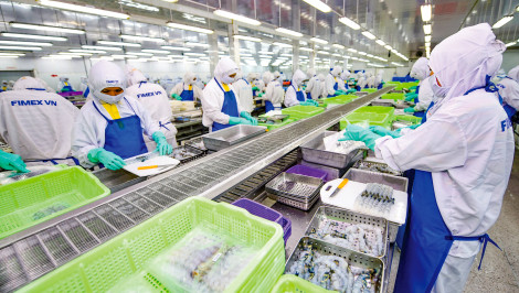 Ngành tôm sẽ lại vượt khó