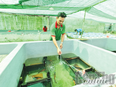 Phát huy các lợi thế nuôi thủy sản