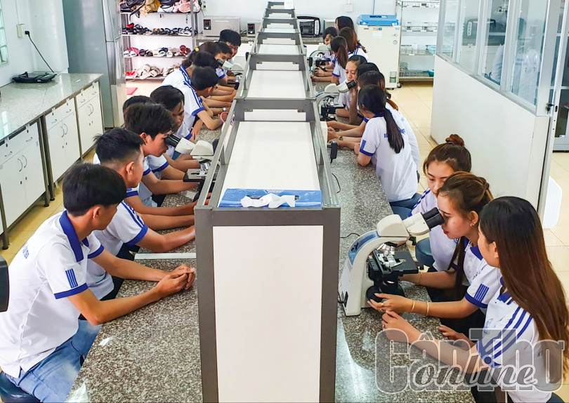 Đầu tư đào tạo nguồn nhân lực chất lượng cao