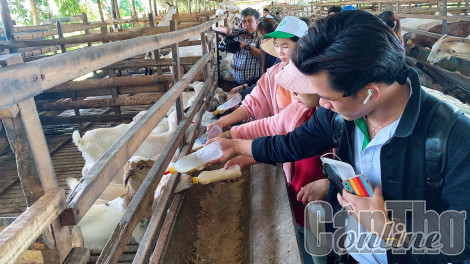 Trải nghiệm du lịch nông nghiệp tại trang trại sữa dê Ngọc Đào