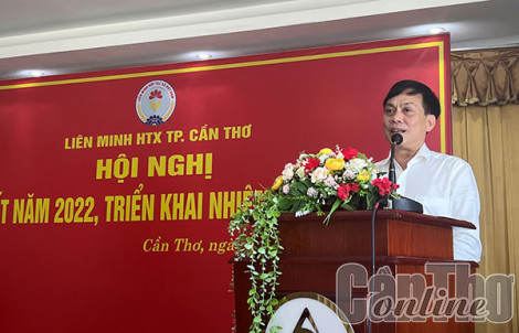 Mỗi quận, huyện có một hợp tác xã điển hình, gắn với thế mạnh của địa phương