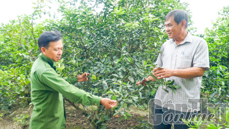 Bí thư Chi bộ gương mẫu, tận tụy