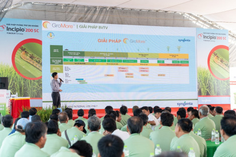 Syngenta và Viện Nghiên cứu lúa ĐBSCL tổ chức Hội thảo đánh giá giống lúa mới và giải pháp GroMoreTM