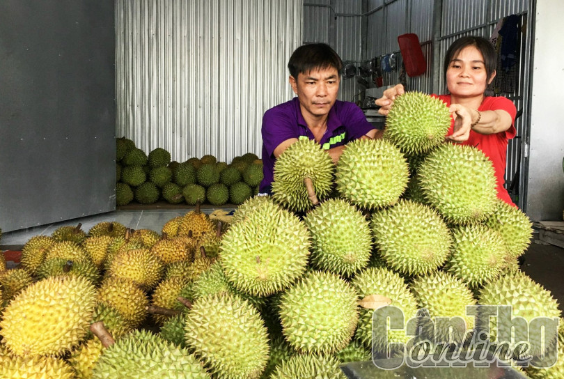 Cần tăng vốn vay hỗ trợ nhu cầu tạo việc làm
