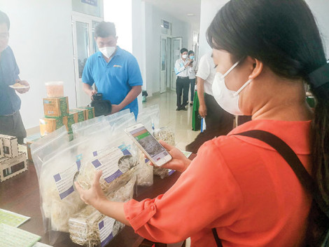 Nỗ lực chuyển đổi số hướng đến nông thôn mới thông minh