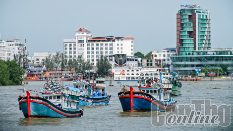 Tổ chức nhiều hoạt động kỷ niệm 20 năm thành lập TP Cần Thơ trực thuộc Trung ương