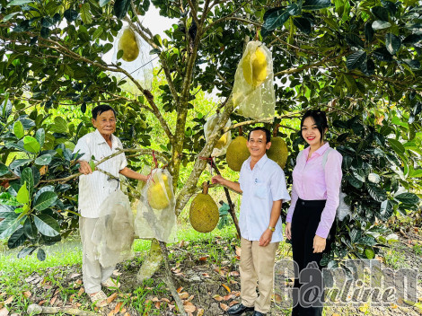 Diện mạo mới ở thị trấn Phong Điền