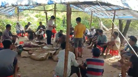 Cà Mau: Bắt giữ hàng chục đối tượng đá gà ăn tiền giữa rừng đước