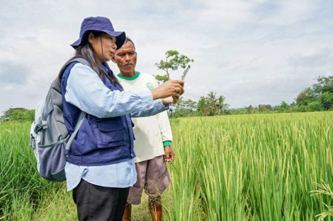 Indonesia thúc đẩy số hóa nông nghiệp